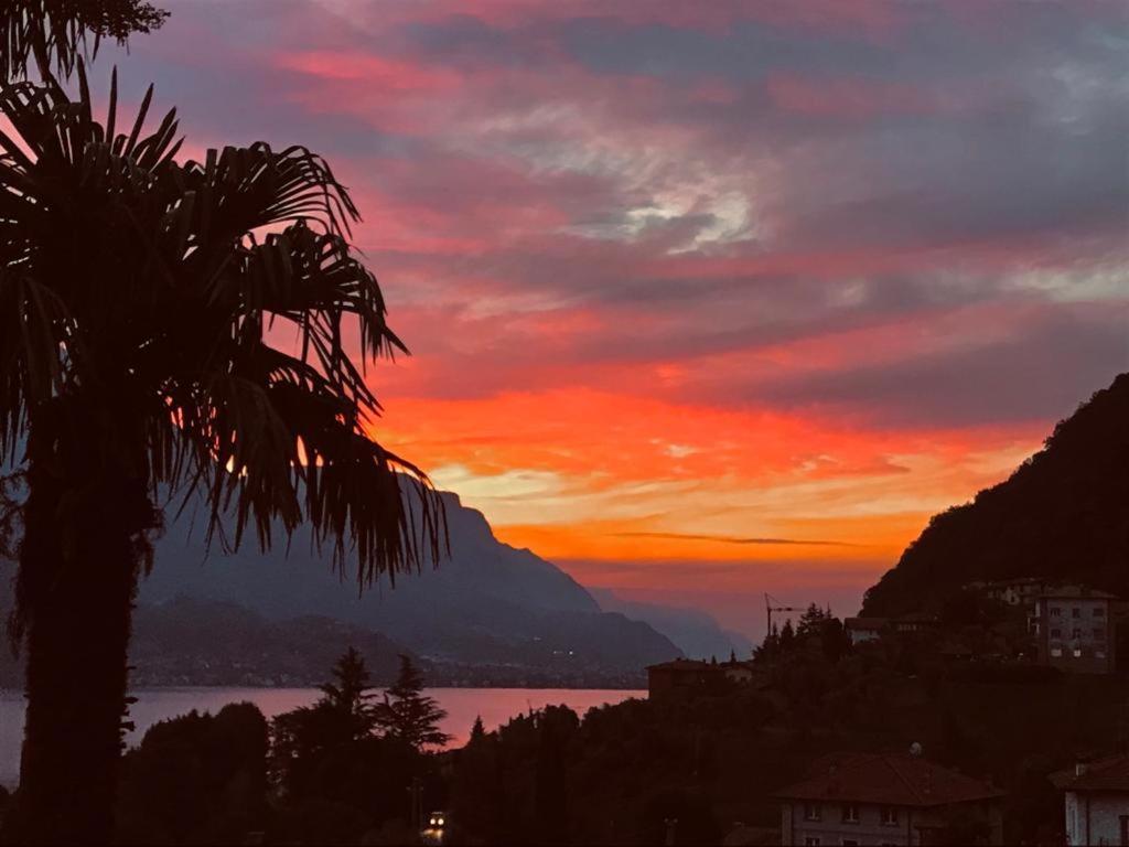 Villa Mojana Bellagio Oliveto Lario Екстериор снимка